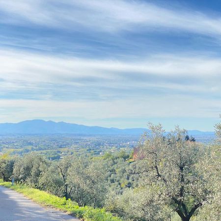Leonardo Da Vinci - Appartamento Nel Verde Con Parcheggio E Wi-Fi Экстерьер фото