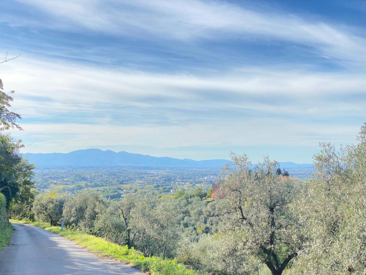 Leonardo Da Vinci - Appartamento Nel Verde Con Parcheggio E Wi-Fi Экстерьер фото